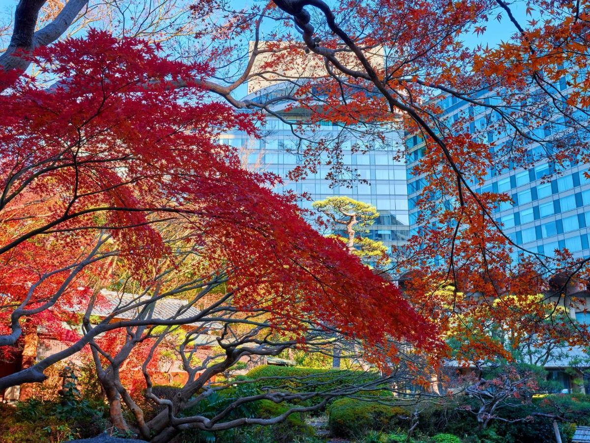 Hotel New Otani Tokyo The Main Zewnętrze zdjęcie Autumn at the University of Tokyo